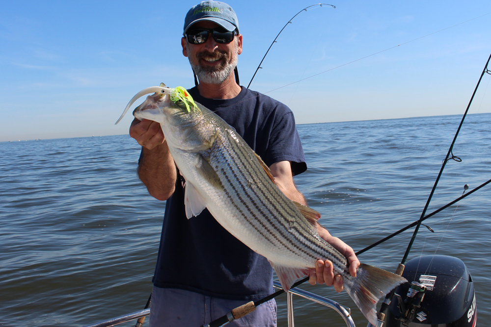 jig fishing for striped bass