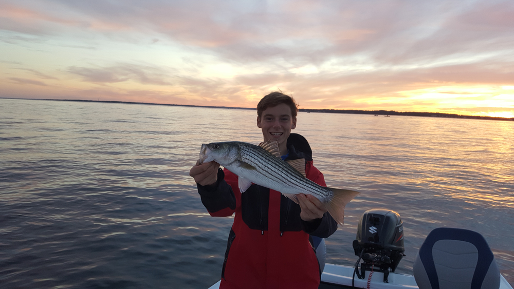 Jigging for Dog Day Summer Stripers