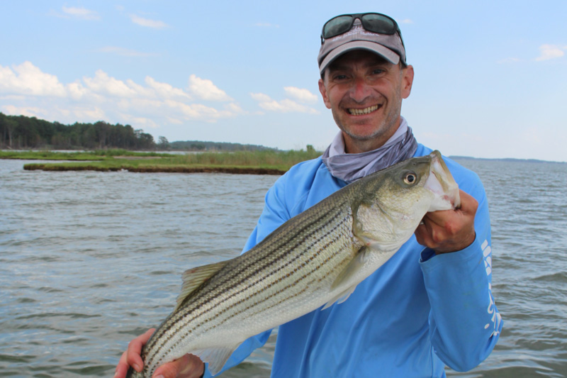 Targeting Keeper Rockfish Size Matters FishTalk Magazine