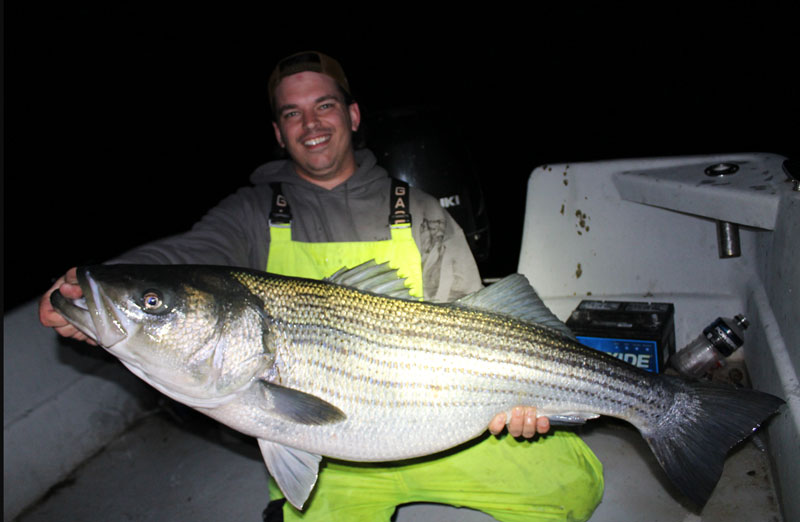 rockfish caught at night