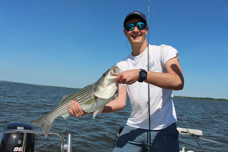 Summer Chumming: The Heat is On, in the Chesapeake Bay