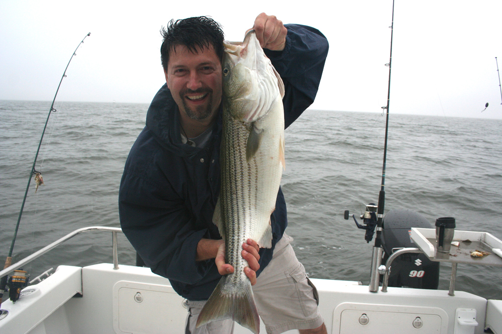 chumming for striped bass chesapeake bay