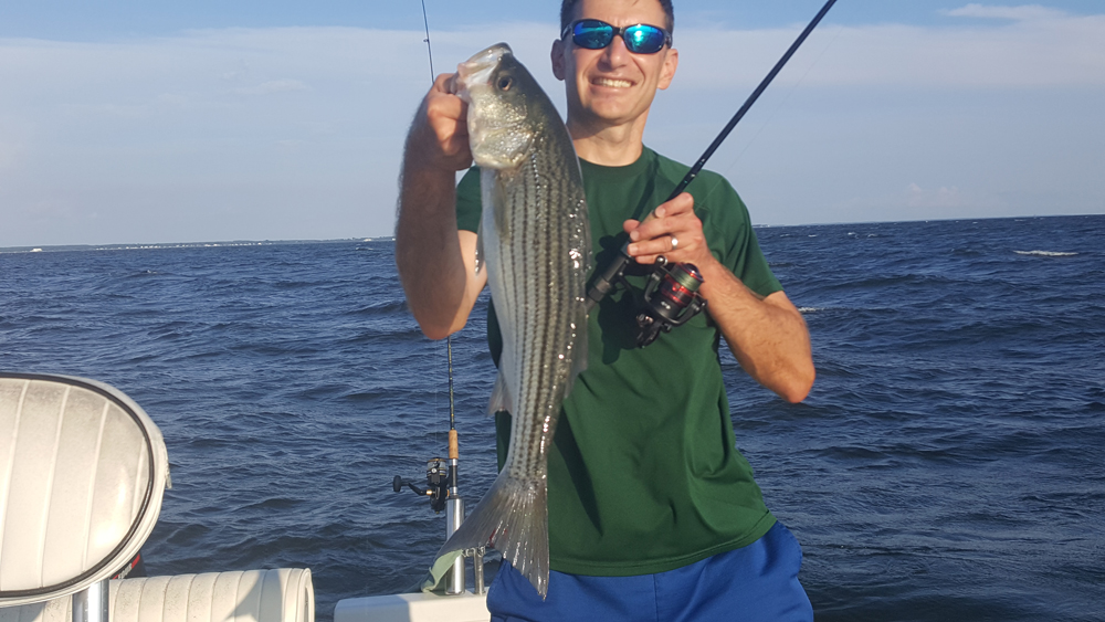 striped bass fishing