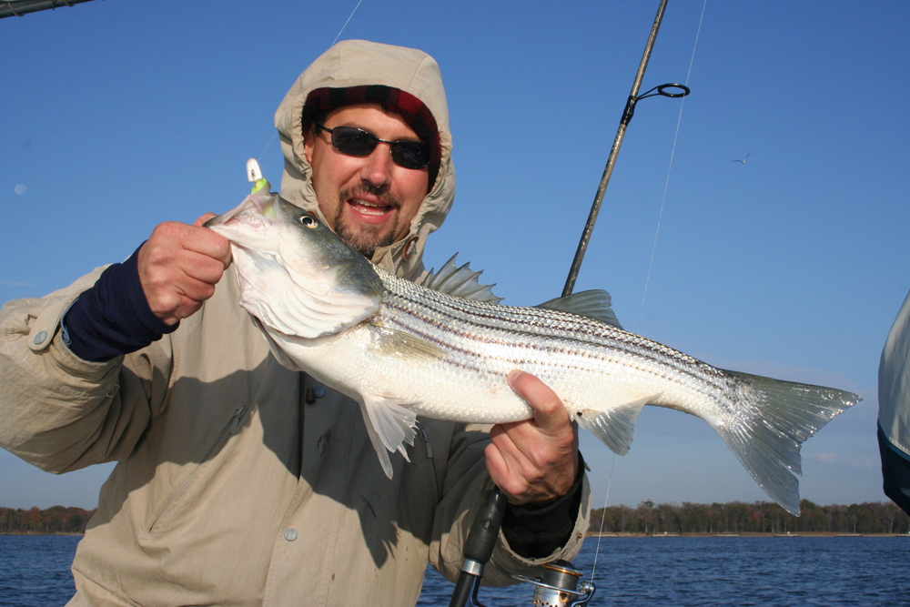 jigging for stripers