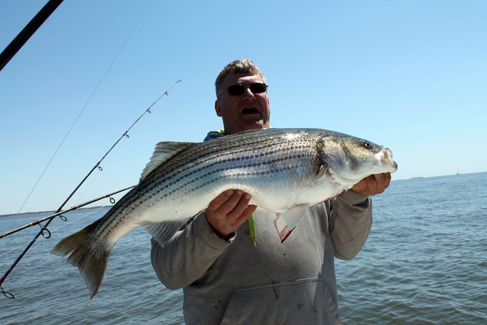 Crash Course: Light Tackle Trolling for Trophy Stripers