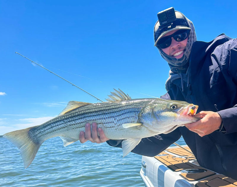 fishing forecast chesapeake bay