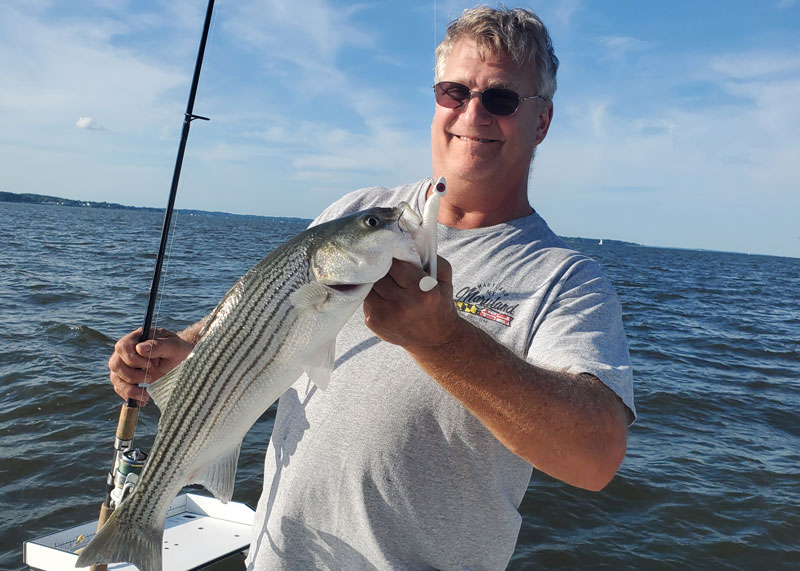 scotty with a striped bass