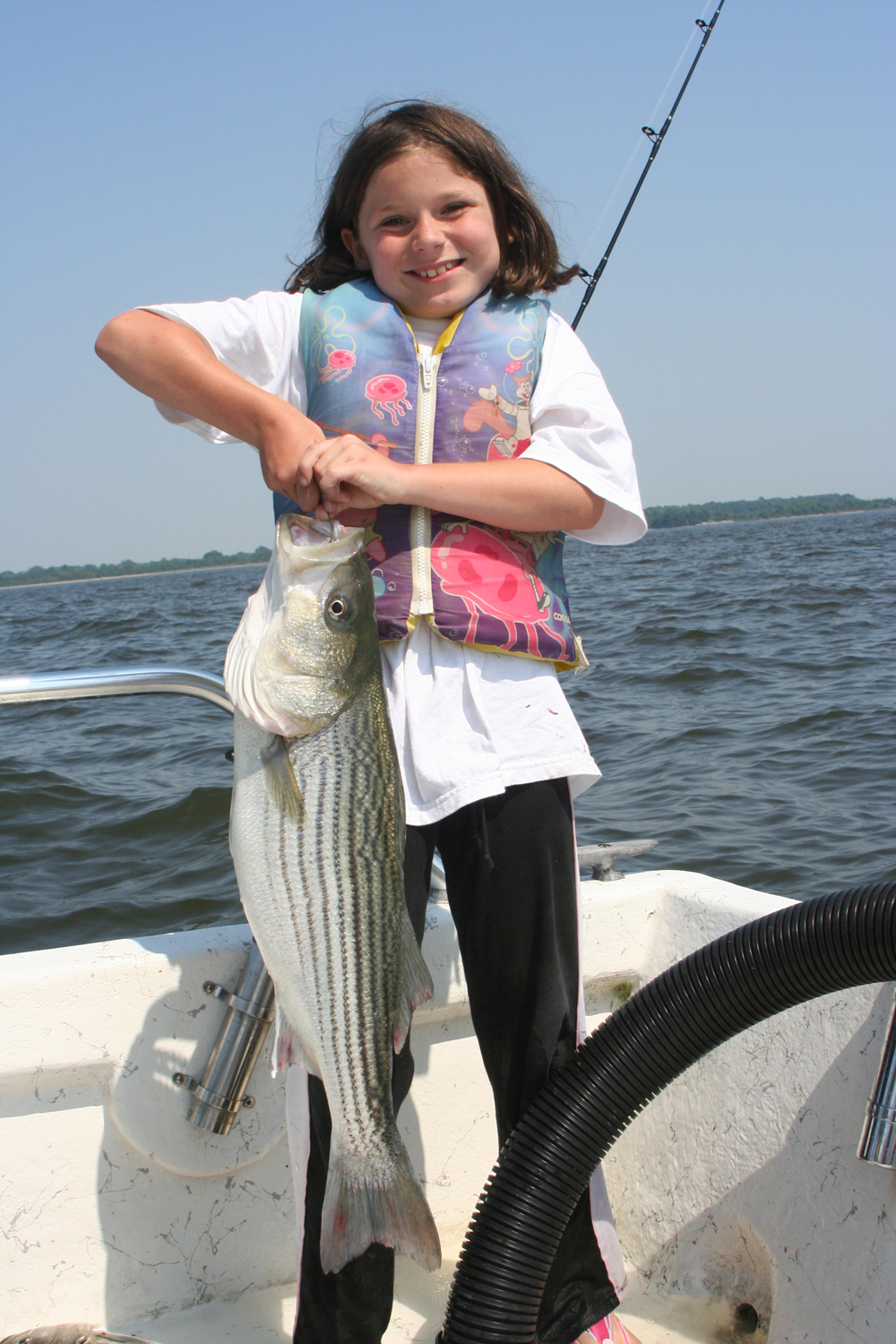 striper fishing with spot