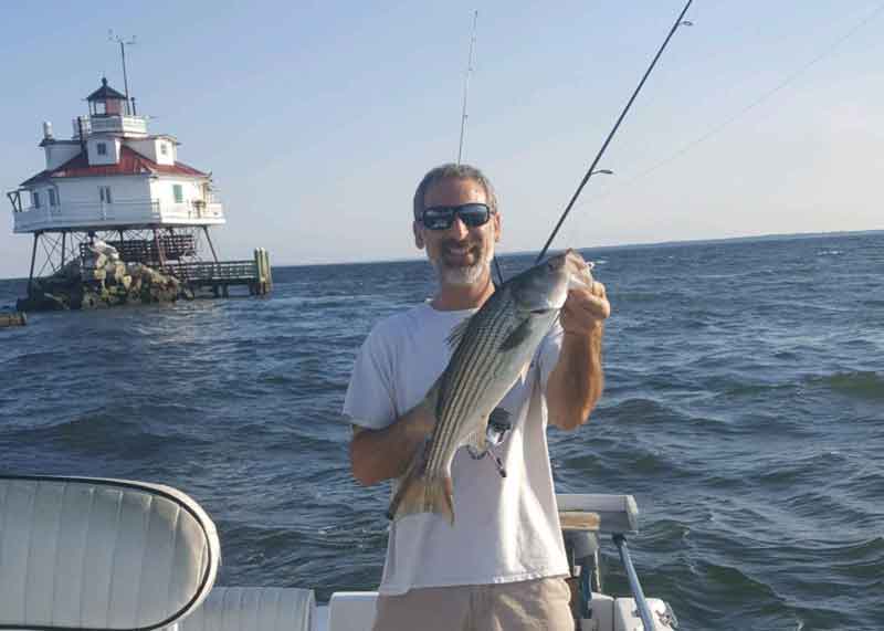 striped bass at thomas point
