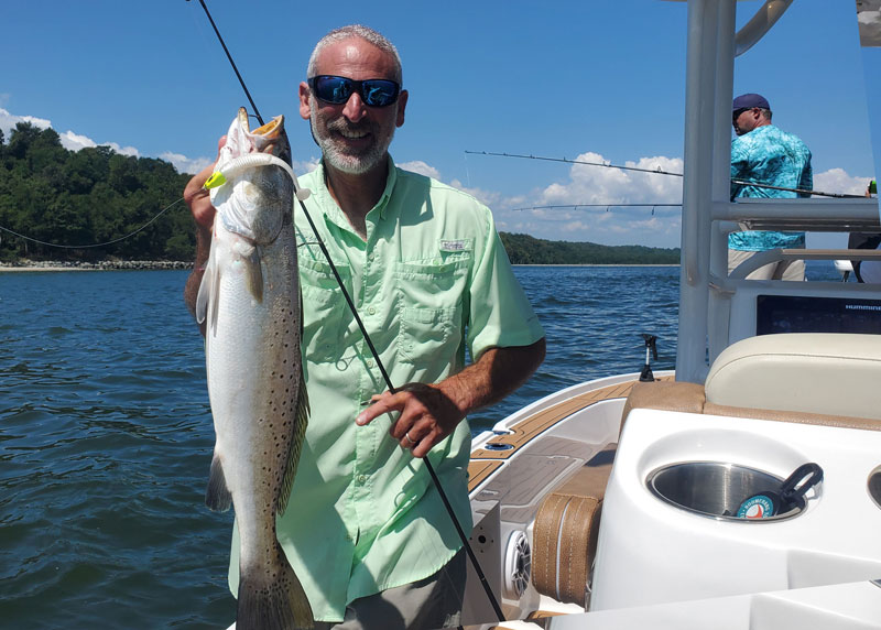 summer speckled sea trout