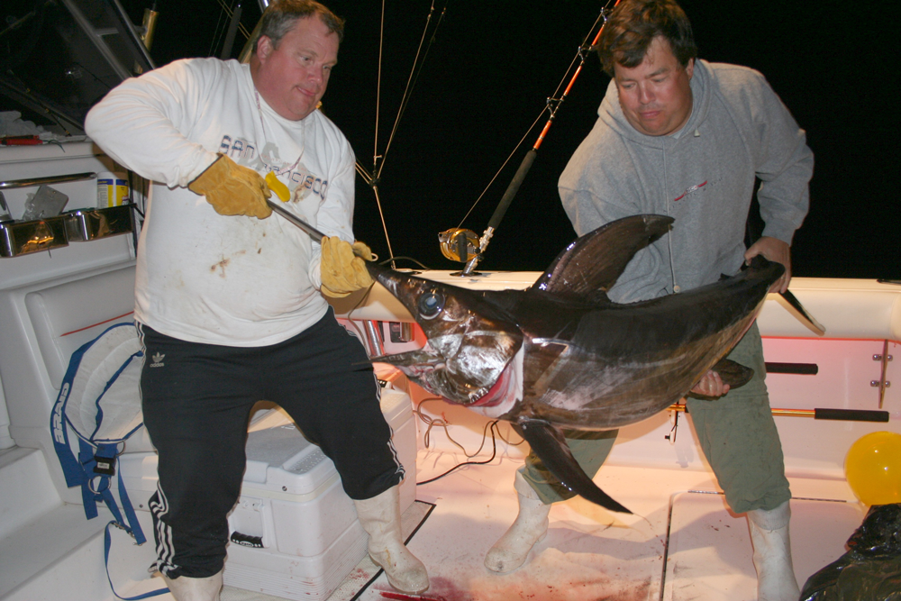 How to Rig for Swordfish at Night - On The Water