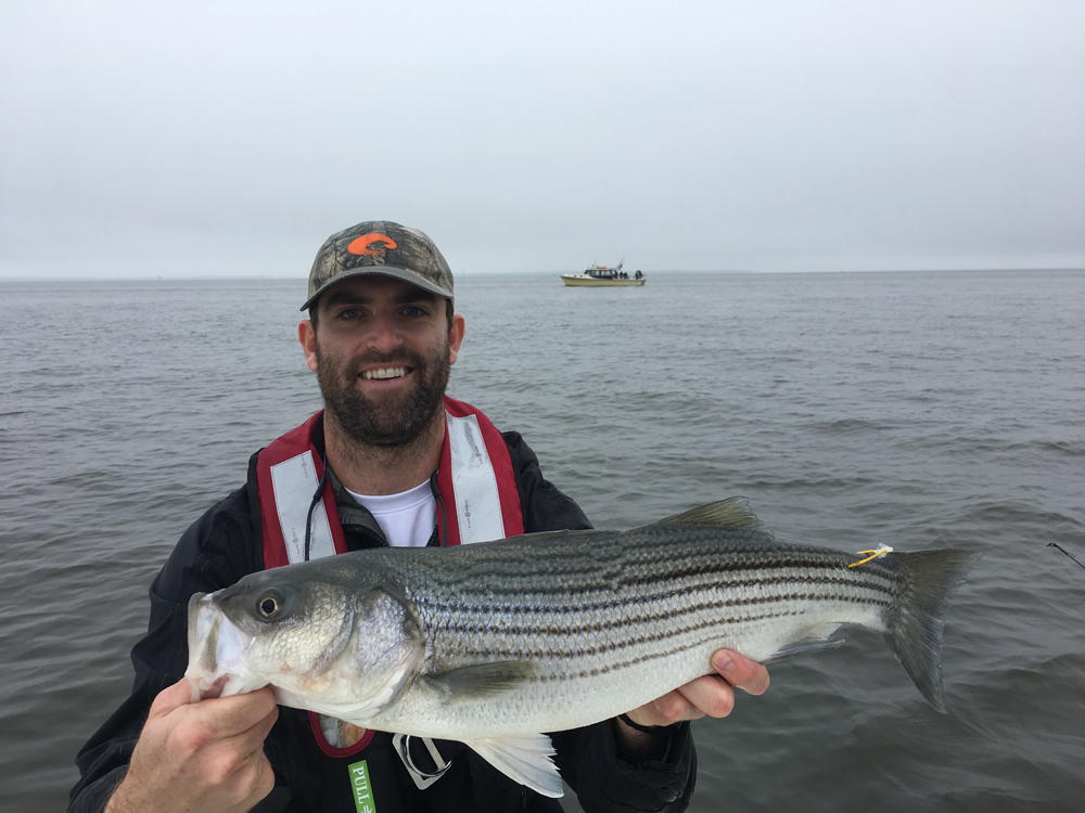 rockfish tagging for science in chesapeake bay