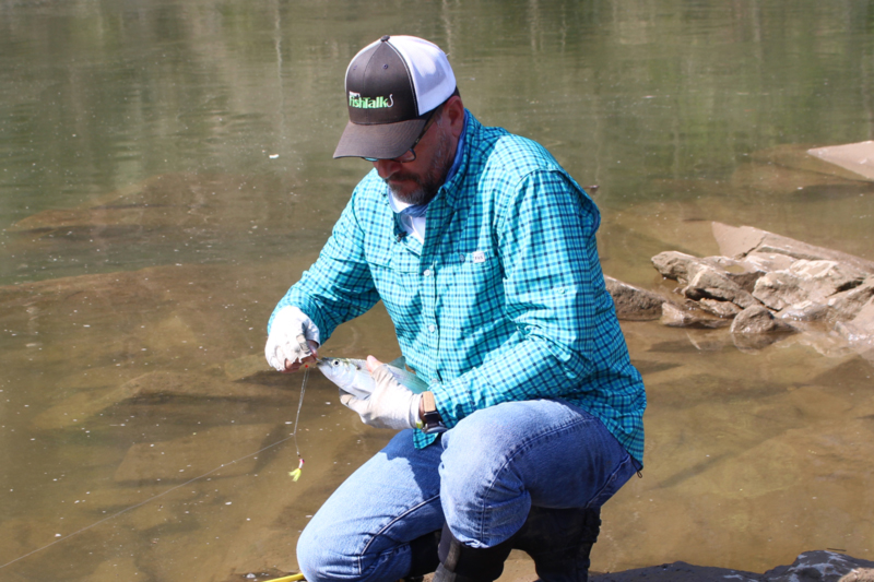 tandem rigs for fishing