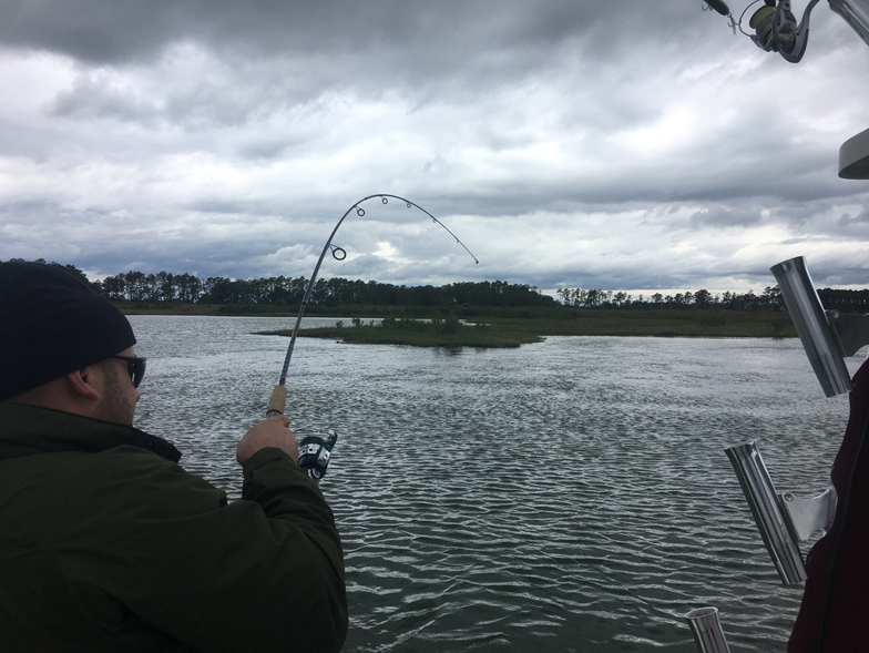 fishing tangier sound