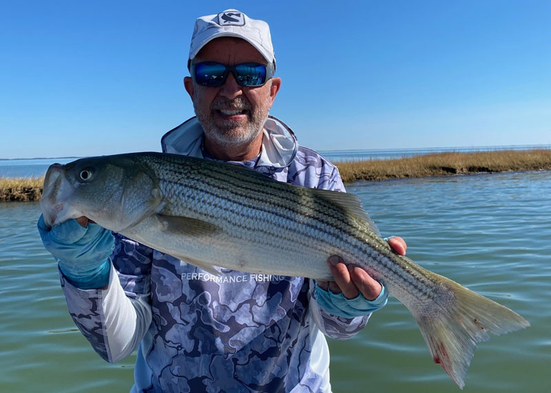 topwater fishing for rockfish