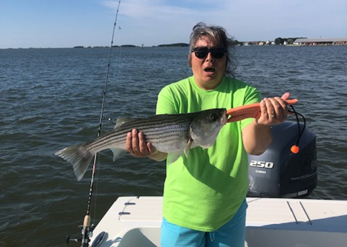 Tangier and Lower Shore Fishing Reports
