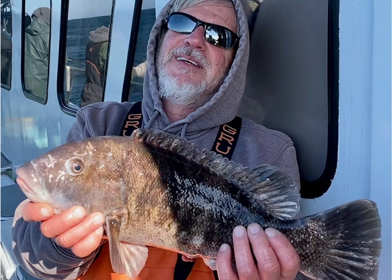 ocean tautog fish