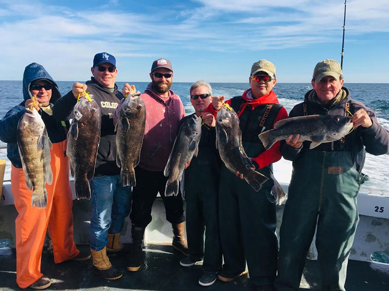 fishermen caught a lot of tautog
