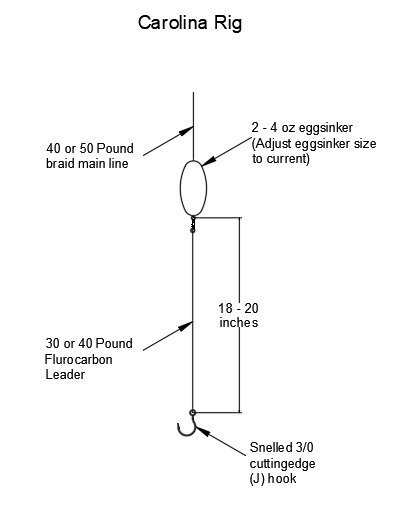 carolina tog rig