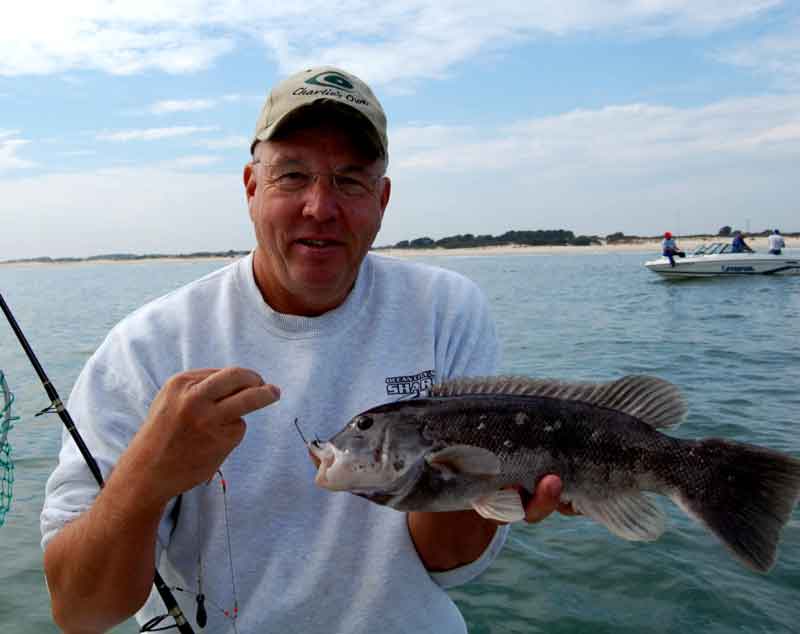 A-H) Common species of the recreational fishing at sea (light blue