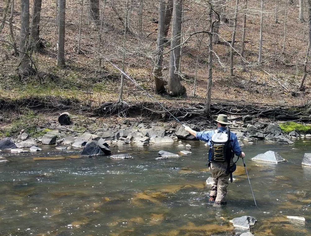 Fishing for Beginners: Rainbow Trout