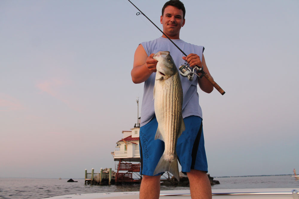 Reels - Anglers Point