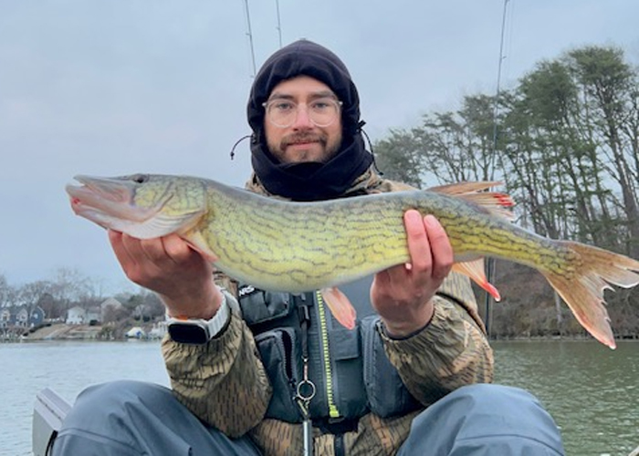 pickerel in the creek