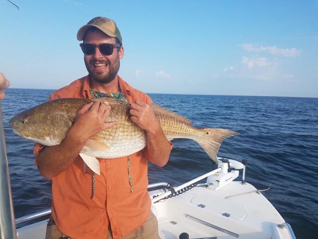 lower chesapeake bay red drum