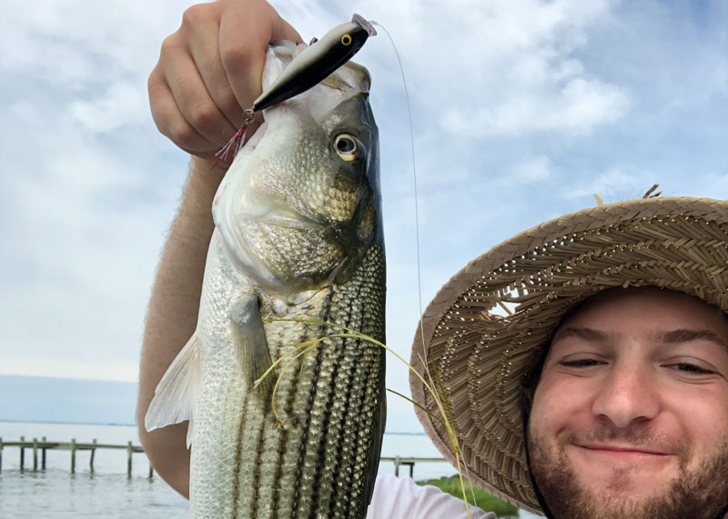 fish caught on topwater lure