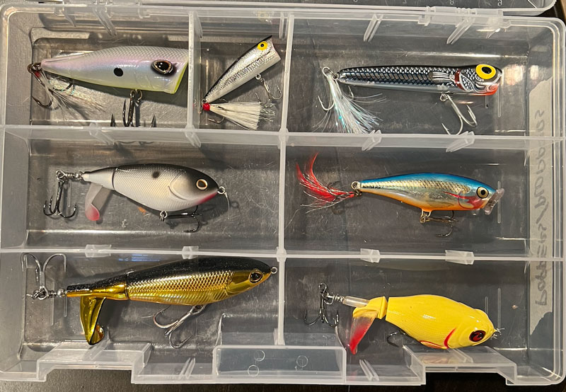 selection of topwater lures for fishing