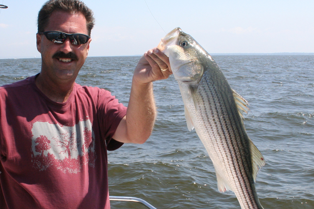 rockfish on topwater