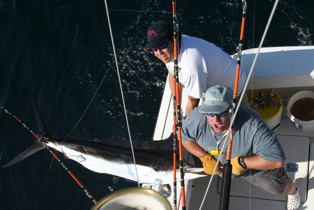 Tips and Tricks to Save a Slow Day of Offshore Trolling