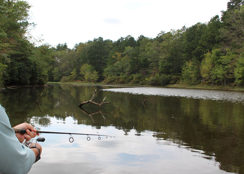 casting for crappie near a tree