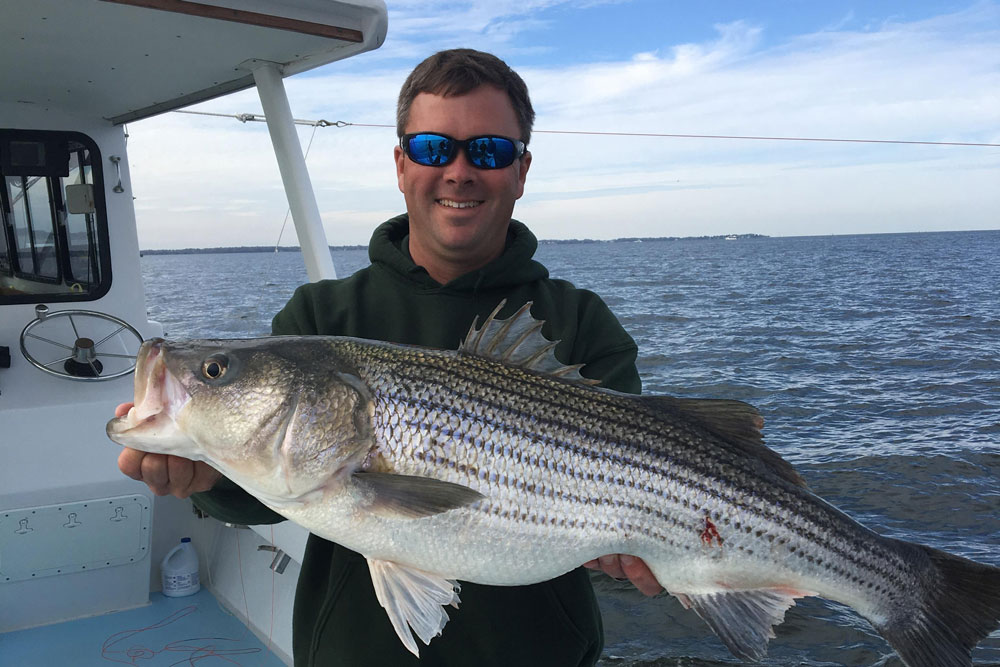 trolling for striped bass