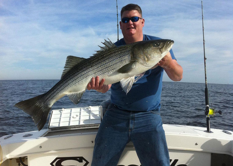 angler trolling for striped bass
