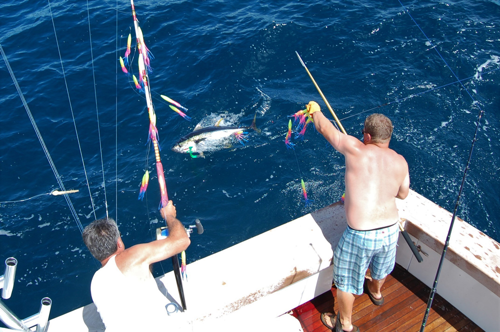 Small Boat Trolling Setup, Trolling for Tuna