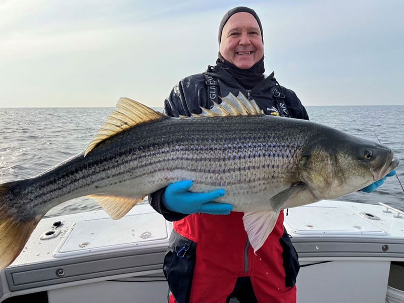 STRIPED BASS Season Opens - TOPWATER STRIPERS - Popping STRIPER for Paul 