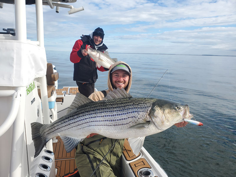 trophy rockfish in the middle bay