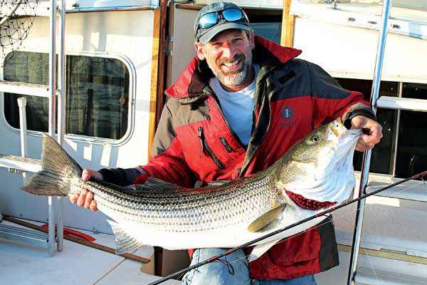 trophy sized striped bass