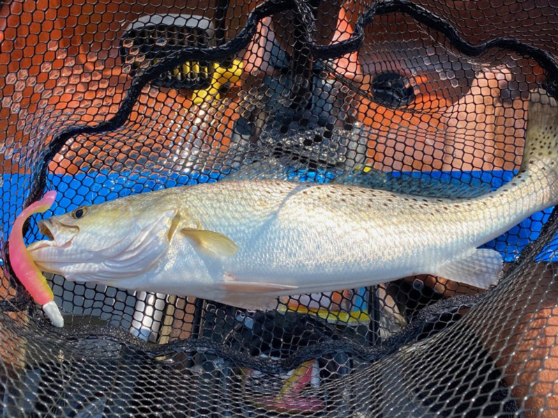 Landing Fish in a Kayak