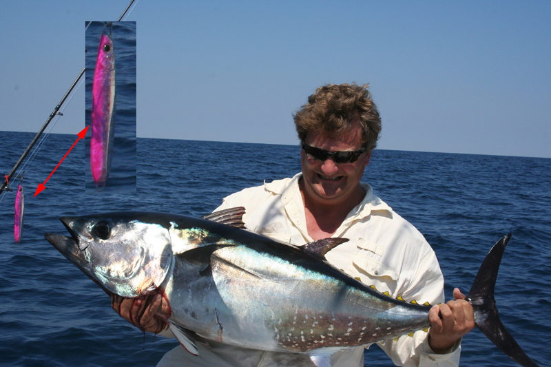 tuna caught on a jig