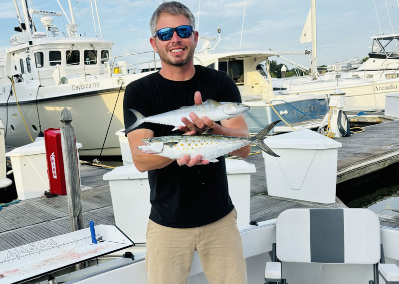 spanish mackerel at love point