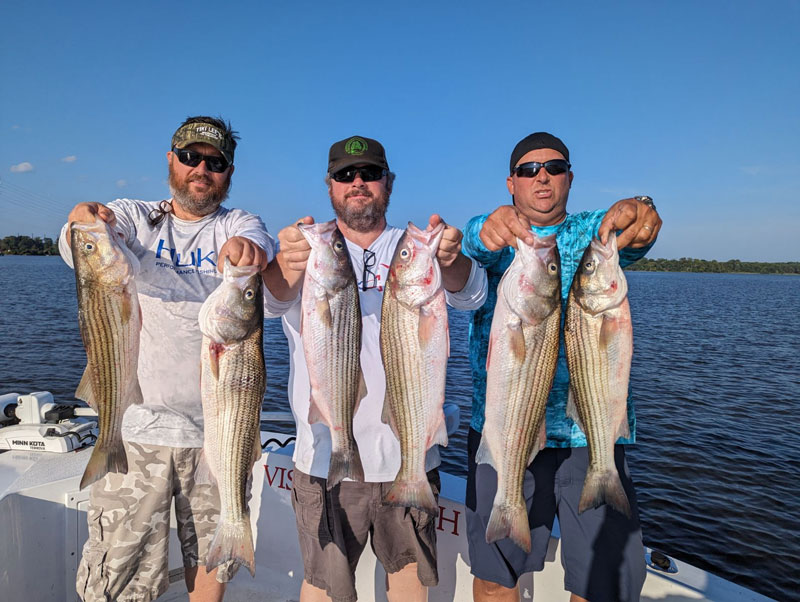 upper chesapeake bay rockfish fishing