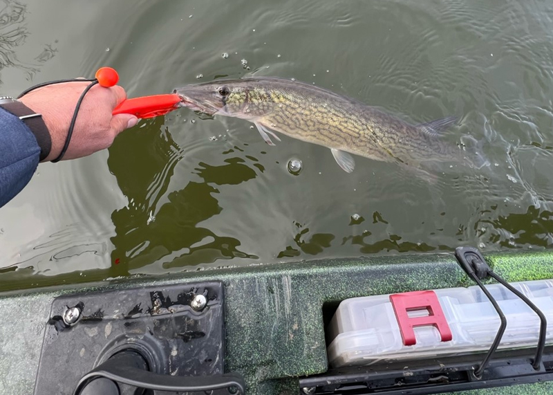 pickerel kayak fishing