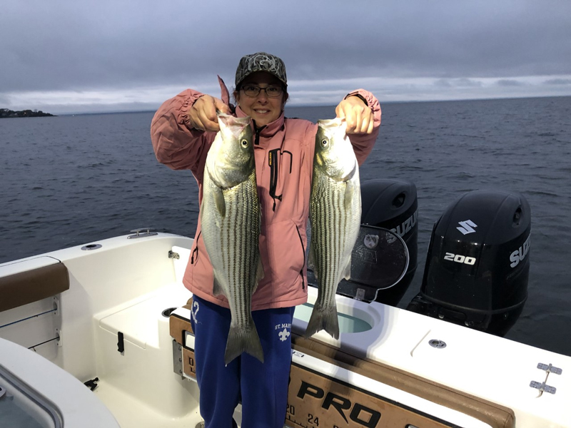 rock fish upper bay