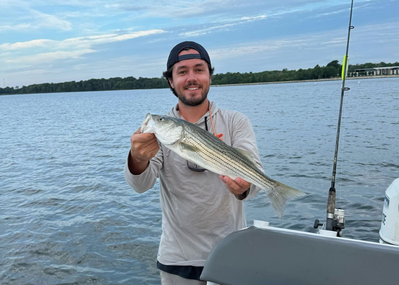 upper chesapeake bay striped bass fishing