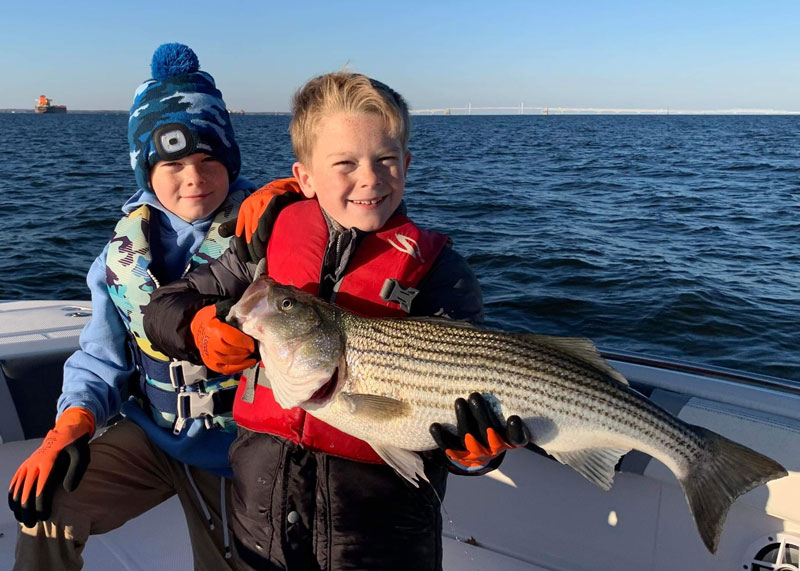 Catching a GIANT Chesapeake Bay striper with live bait and planer
