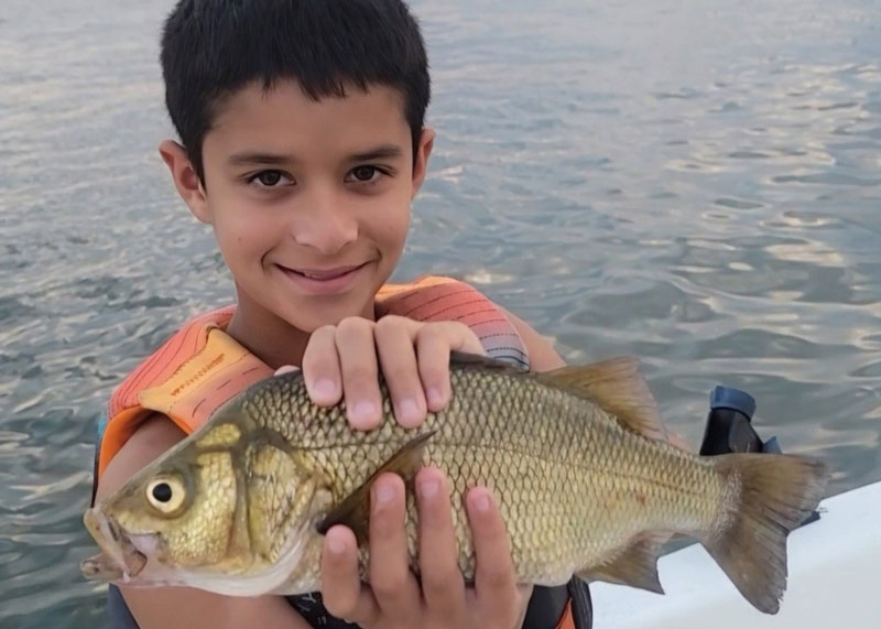 monster white perch from the magothy river