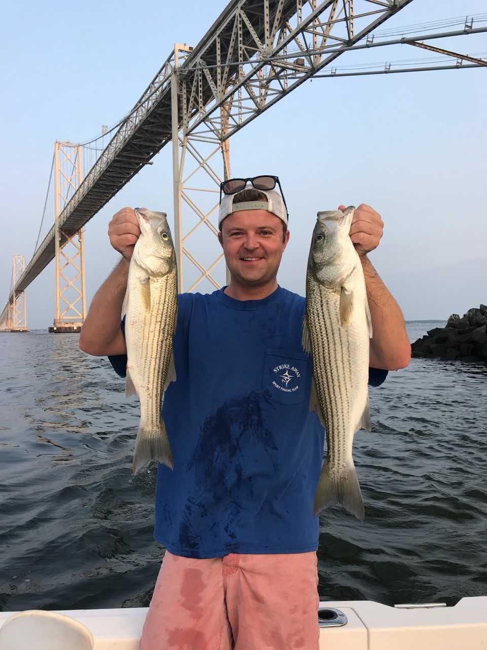 upper bay stripers