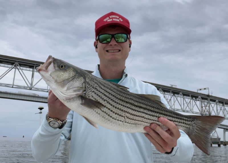 Striped bass Cap for Sale by hookink